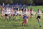 Girls under-13s, 2024 Northern Cross Country Relays, Graves Park, Sheffield.   Photo: David T. Hewitson/Sports for All Pics